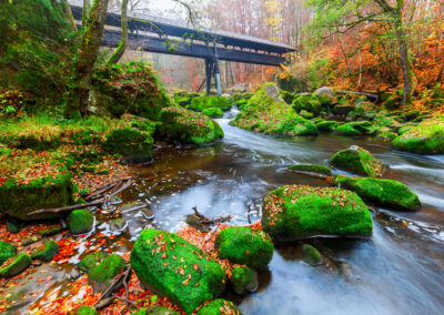 Pont couvert en bois aux chutes d'Irrel